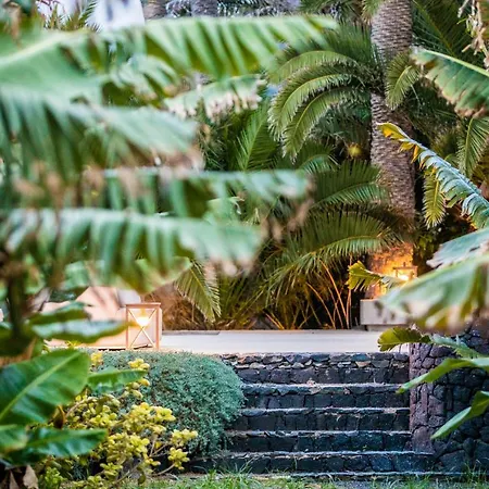 Hacienda El Cardon * San Juan de la Rambla