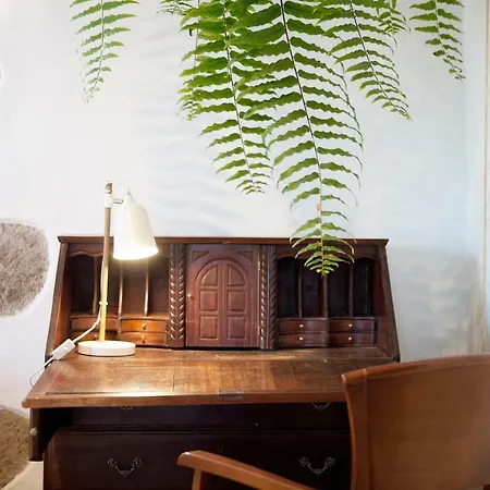 فيلة Hacienda El Cardon San Juan de la Rambla