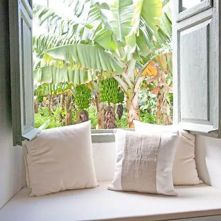 Hacienda El Cardon * San Juan de la Rambla