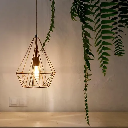 فيلة Hacienda El Cardon *