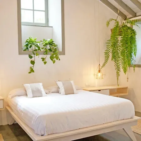 Hacienda El Cardon فيلة *