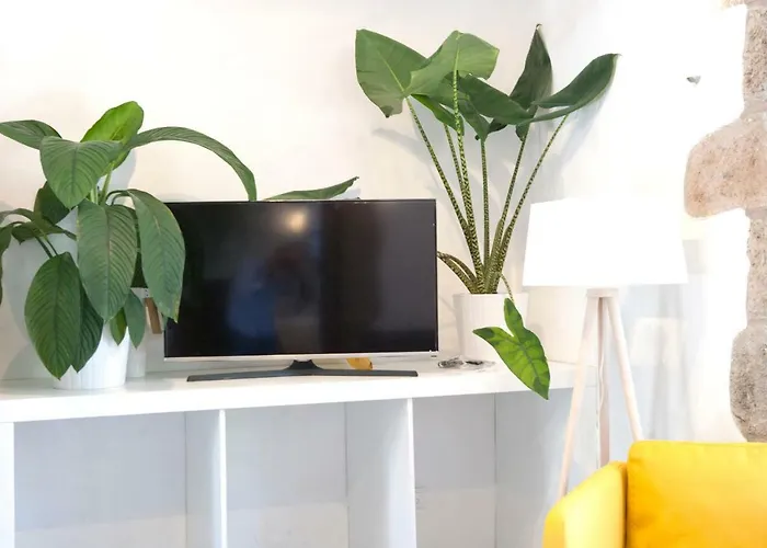 Hacienda El Cardon Вилла