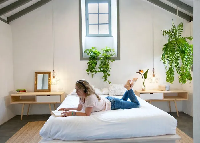 Hacienda El Cardon * Сан-Хуан-де-ла-Рамбла